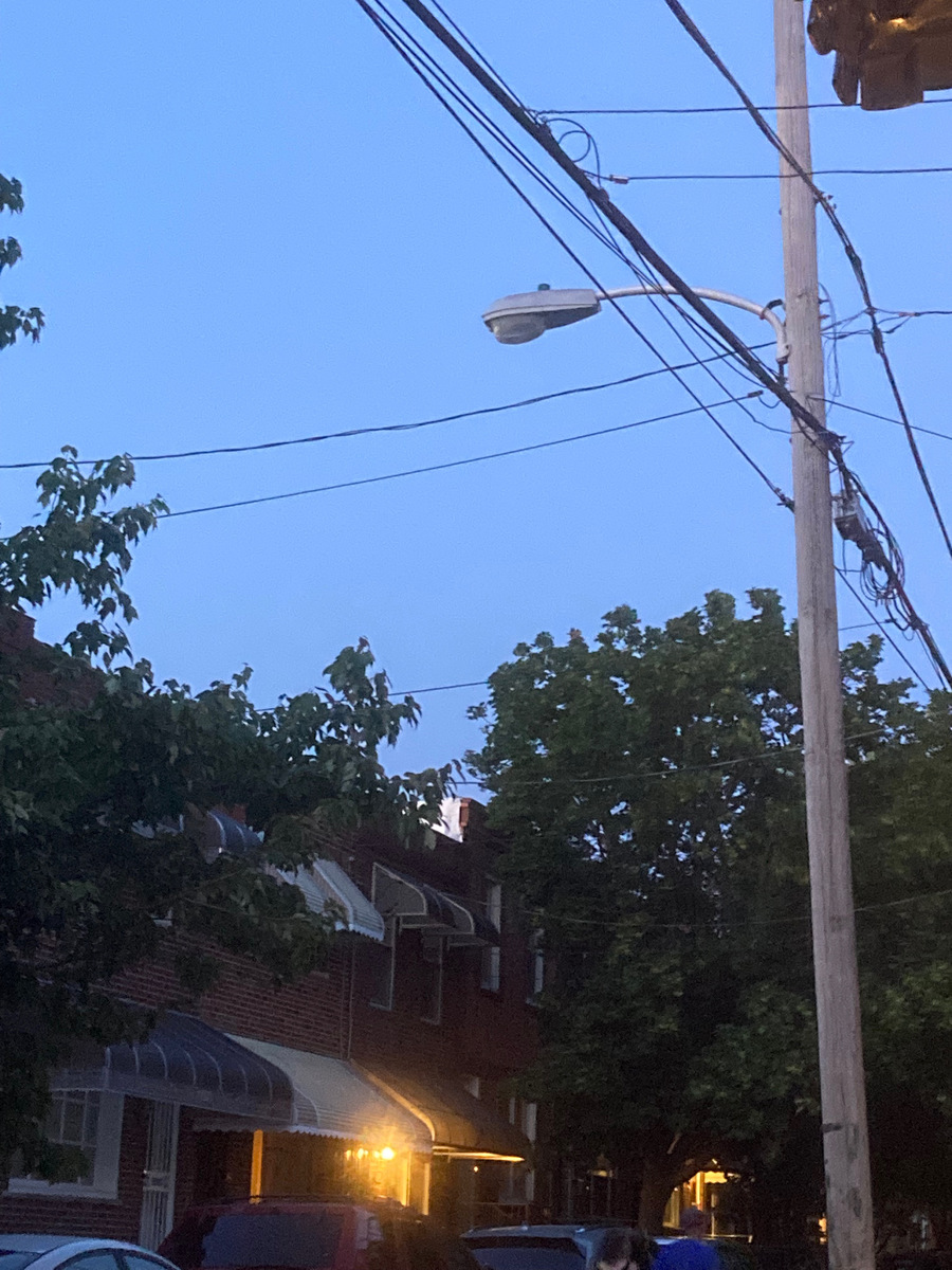 Photographic documentation of the work as submitted to the city's 311 record.