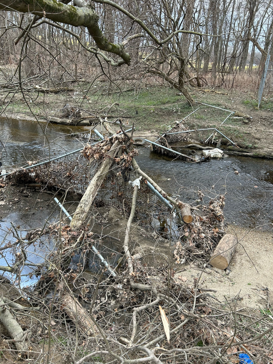 Photographic documentation of the work as submitted to the city's 311 record.
