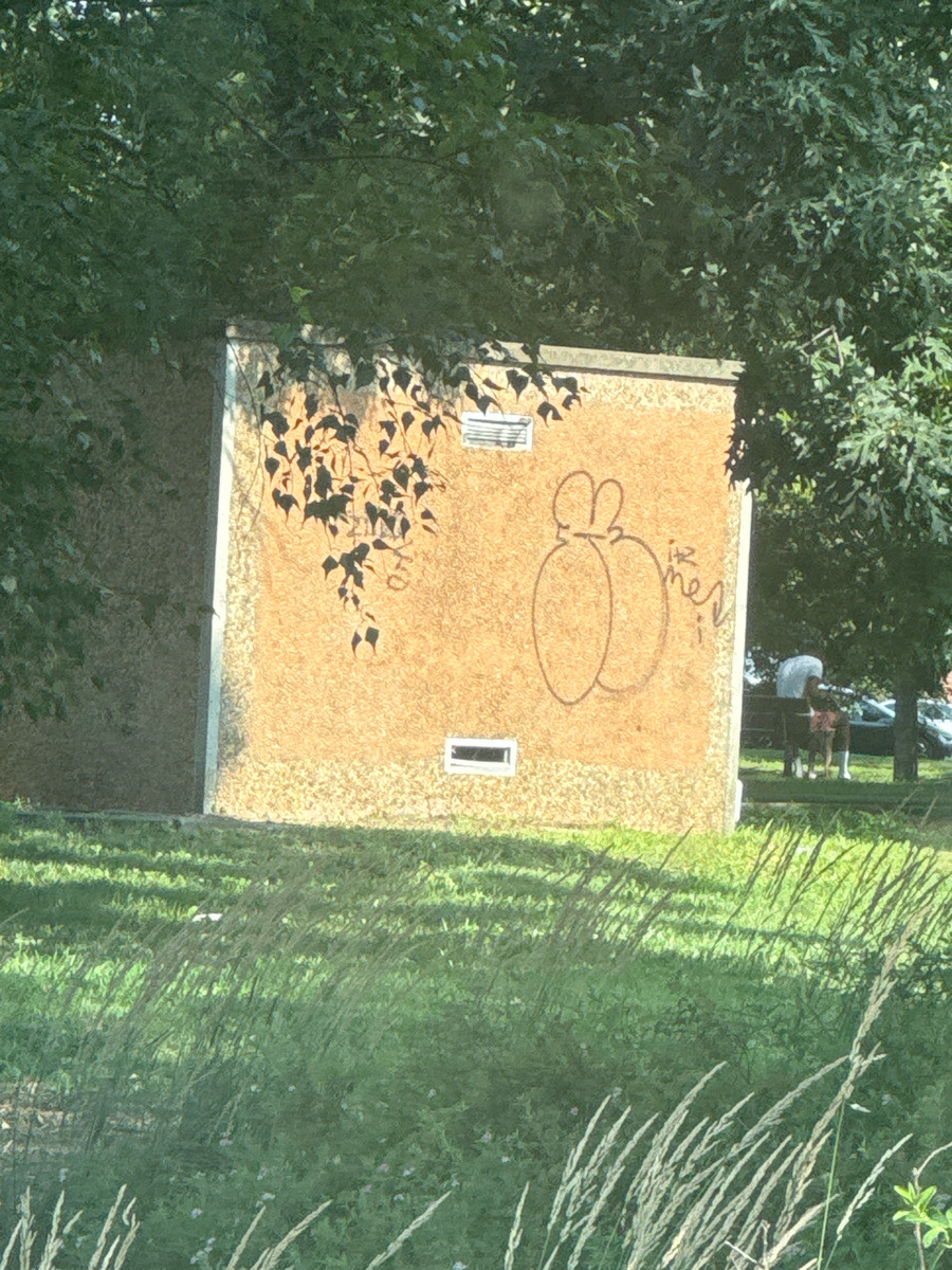 Photographic documentation of the work as submitted to the city's 311 record.