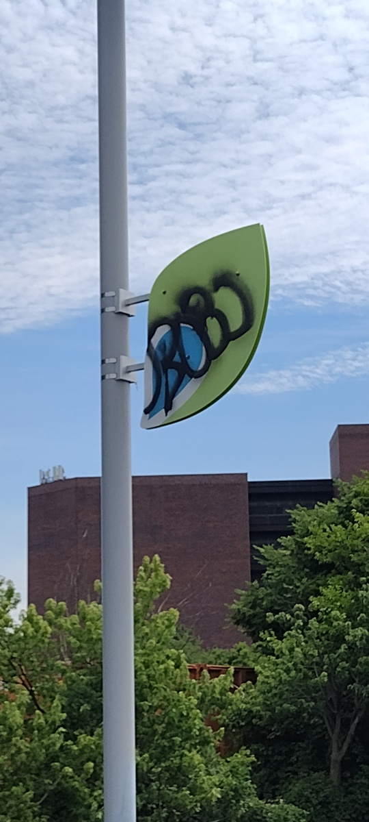 Photographic documentation of the work as submitted to the city's 311 record.