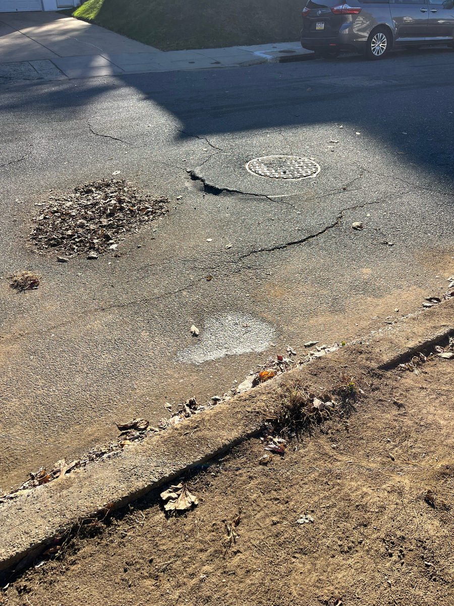 Photographic documentation of the work as submitted to the city's 311 record.