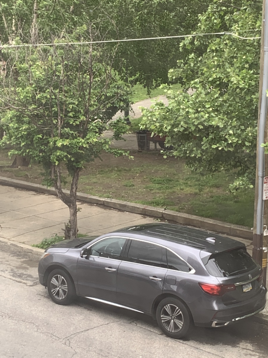 Photographic documentation of the work as submitted to the city's 311 record.