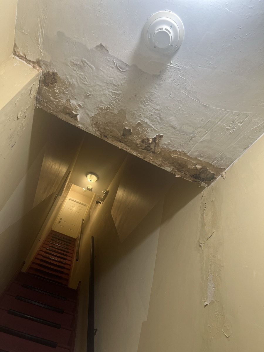 Photographic documentation of the work as submitted to the city's 311 record.