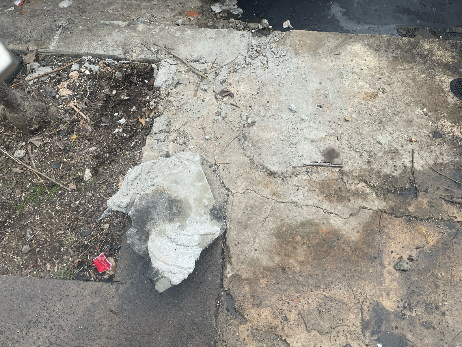 Photographic documentation of the work as submitted to the city's 311 record.