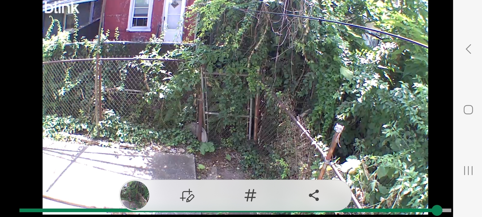 Photographic documentation of the work as submitted to the city's 311 record.
