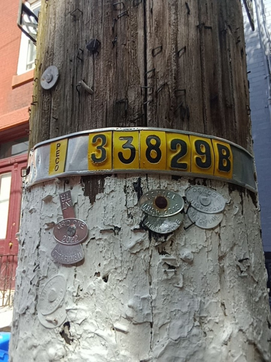 Photographic documentation of the work as submitted to the city's 311 record.