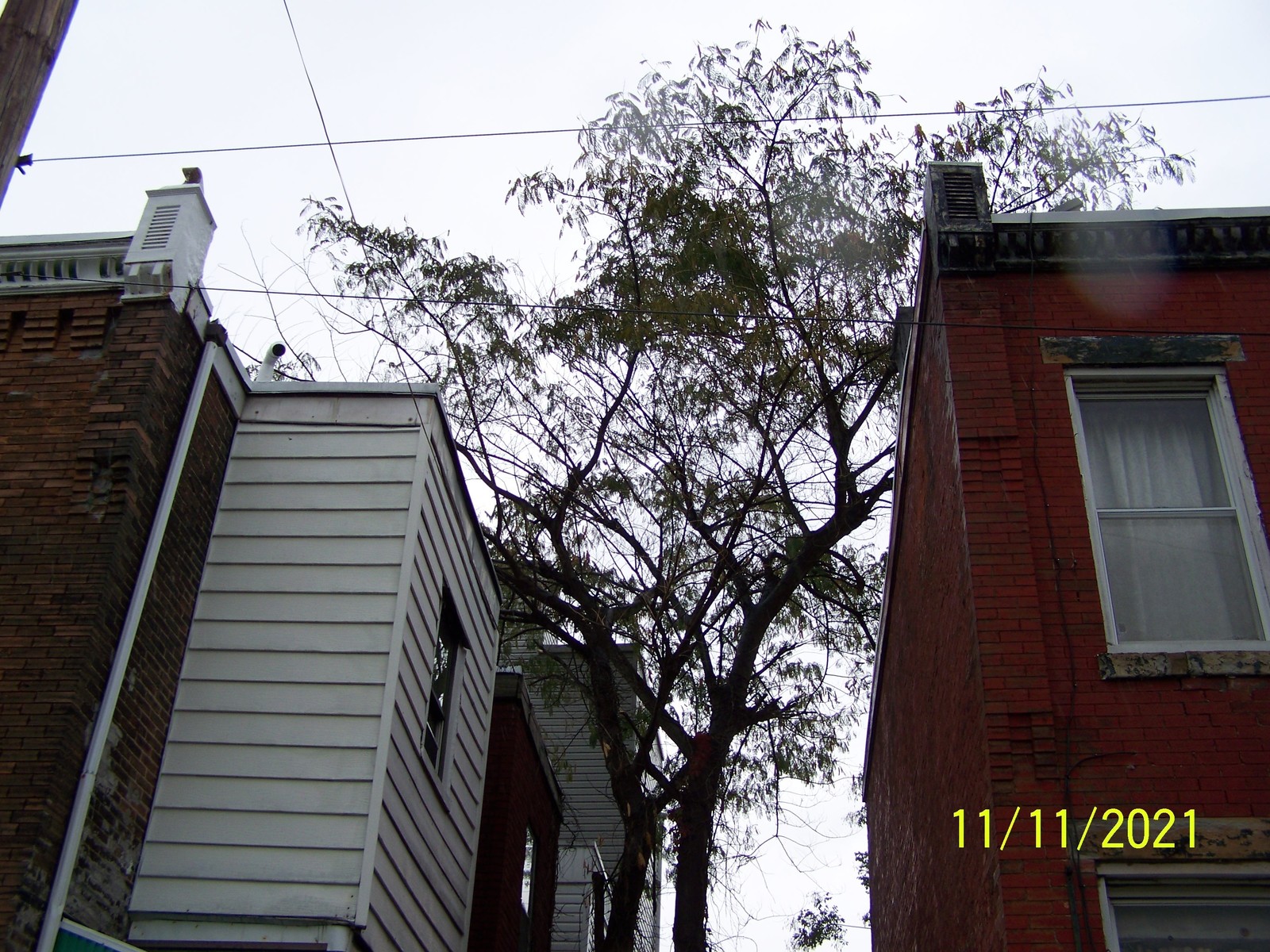 Photographic documentation of the work as submitted to the city's 311 record.