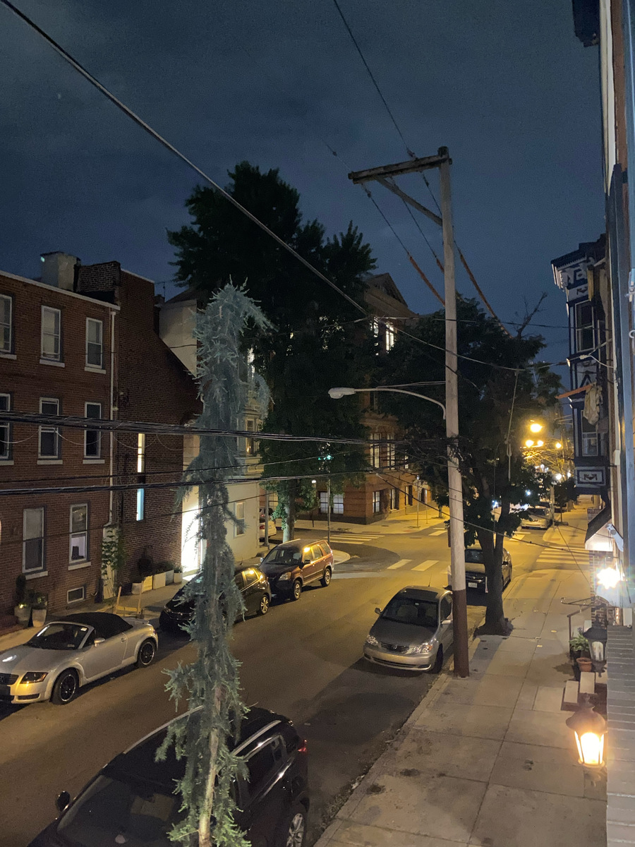 Photographic documentation of the work as submitted to the city's 311 record.