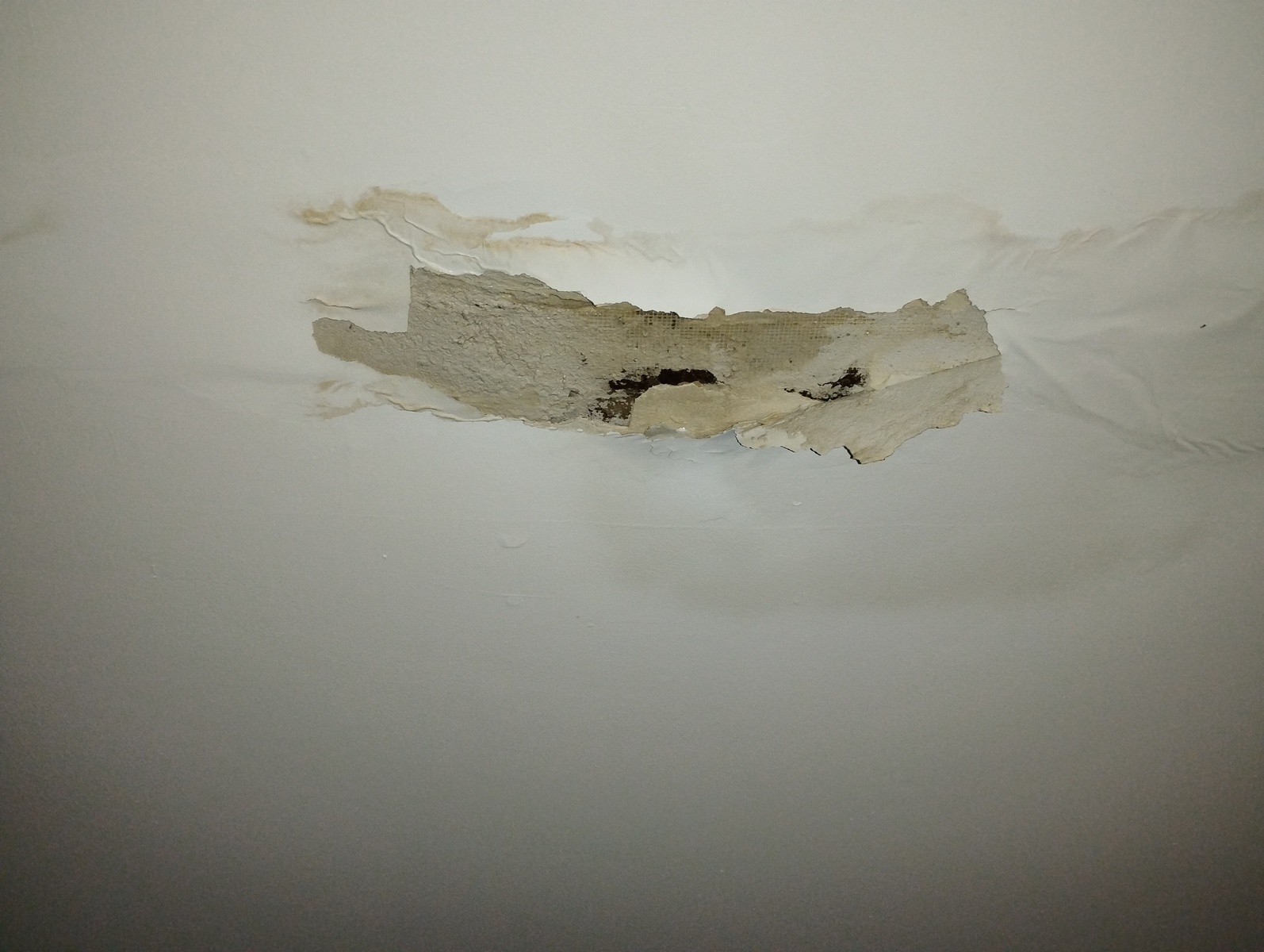 Photographic documentation of the work as submitted to the city's 311 record.