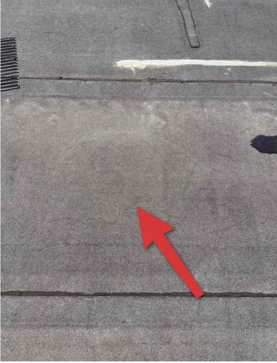 Photographic documentation of the work as submitted to the city's 311 record.