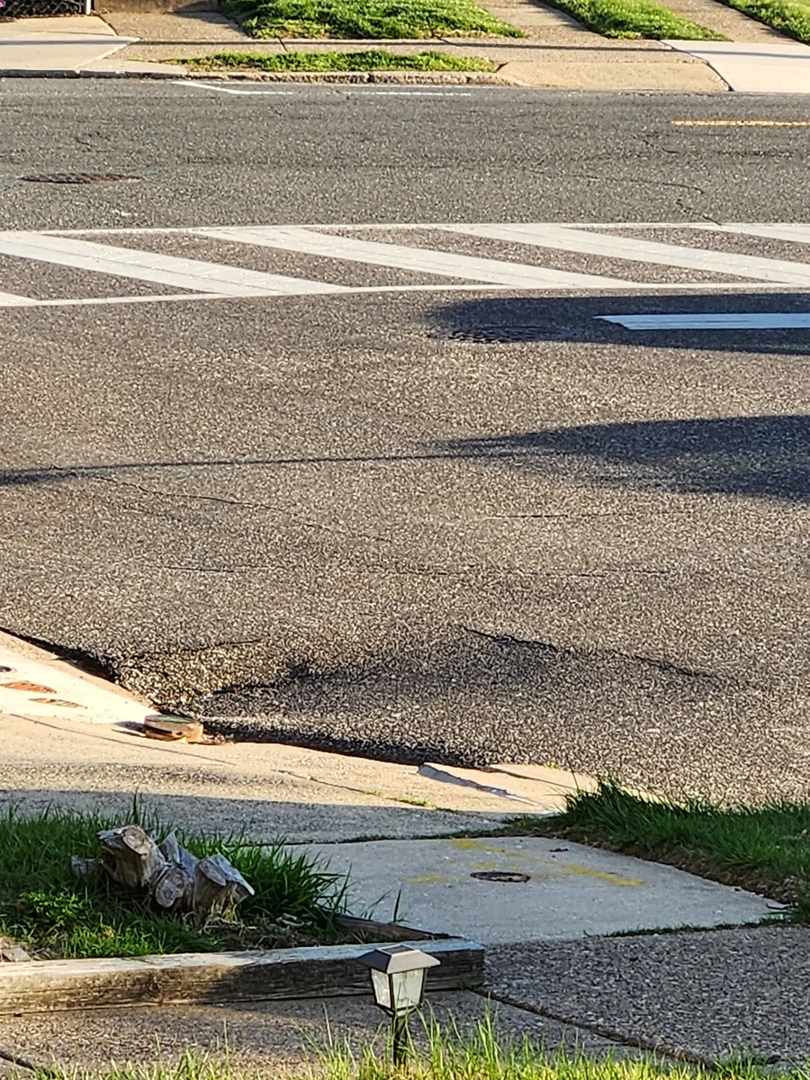 Photographic documentation of the work as submitted to the city's 311 record.
