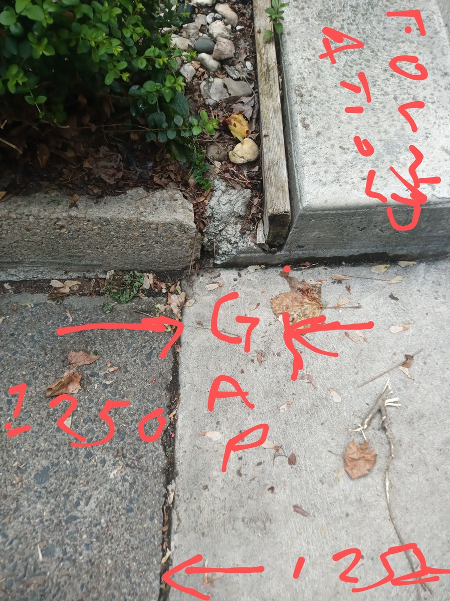 Photographic documentation of the work as submitted to the city's 311 record.