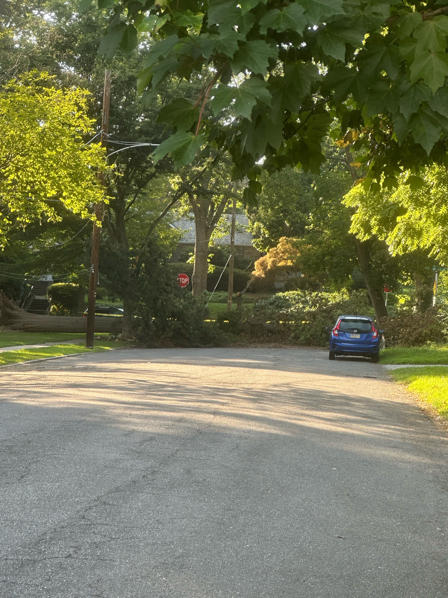 Photographic documentation of the work as submitted to the city's 311 record.