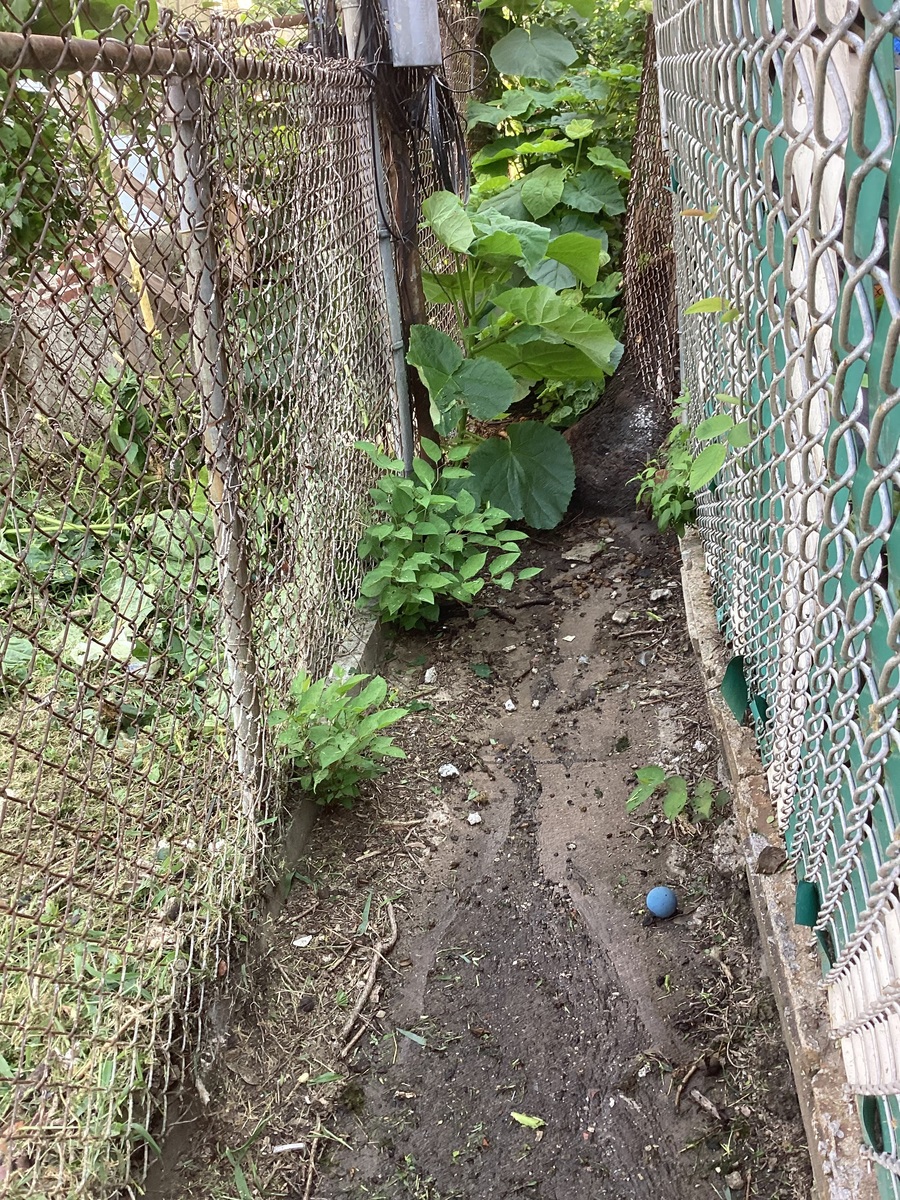Photographic documentation of the work as submitted to the city's 311 record.