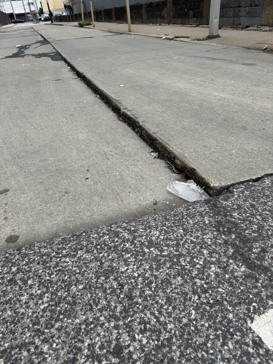 Photographic documentation of the work as submitted to the city's 311 record.