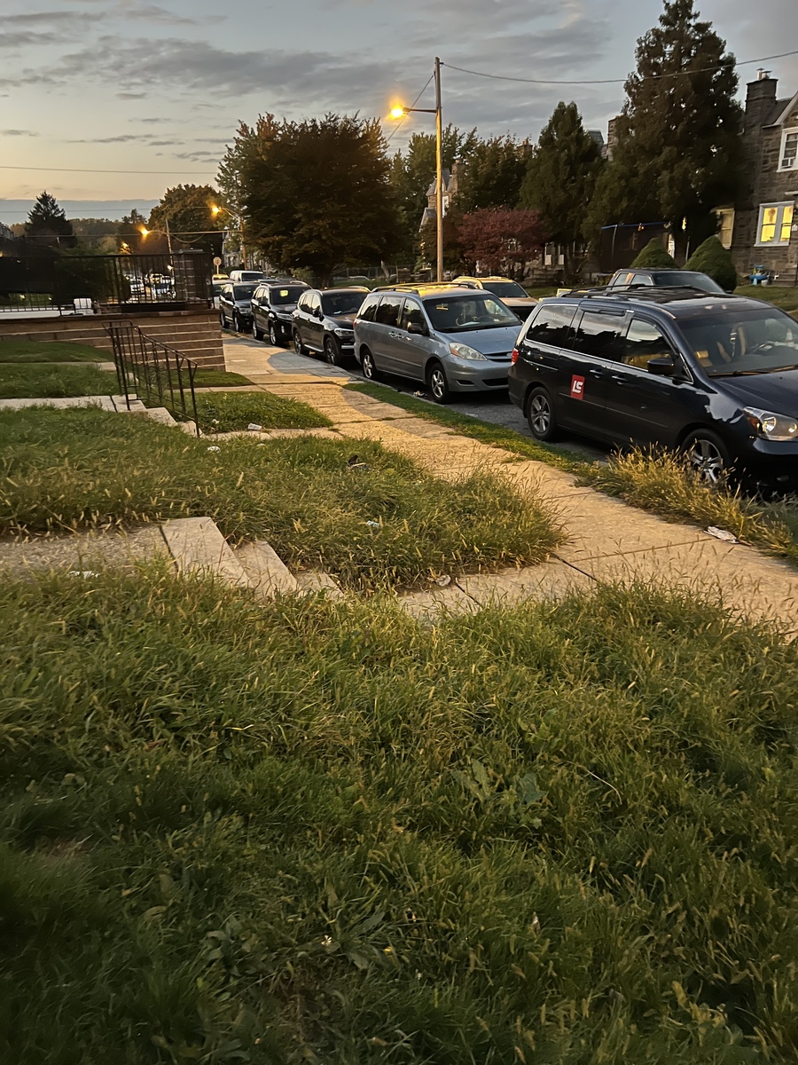 Photographic documentation of the work as submitted to the city's 311 record.