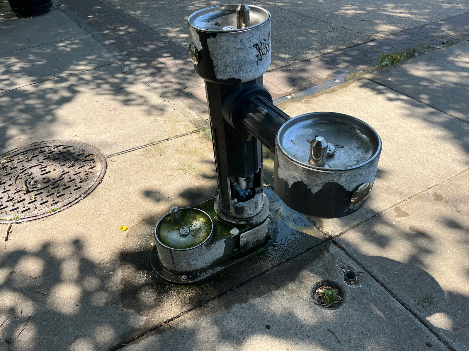 Photographic documentation of the work as submitted to the city's 311 record.