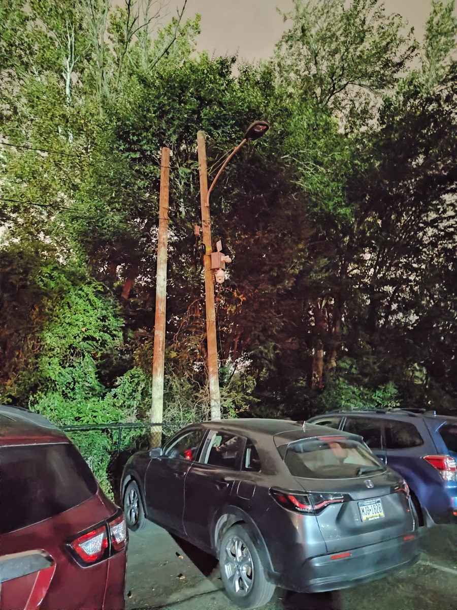 Photographic documentation of the work as submitted to the city's 311 record.