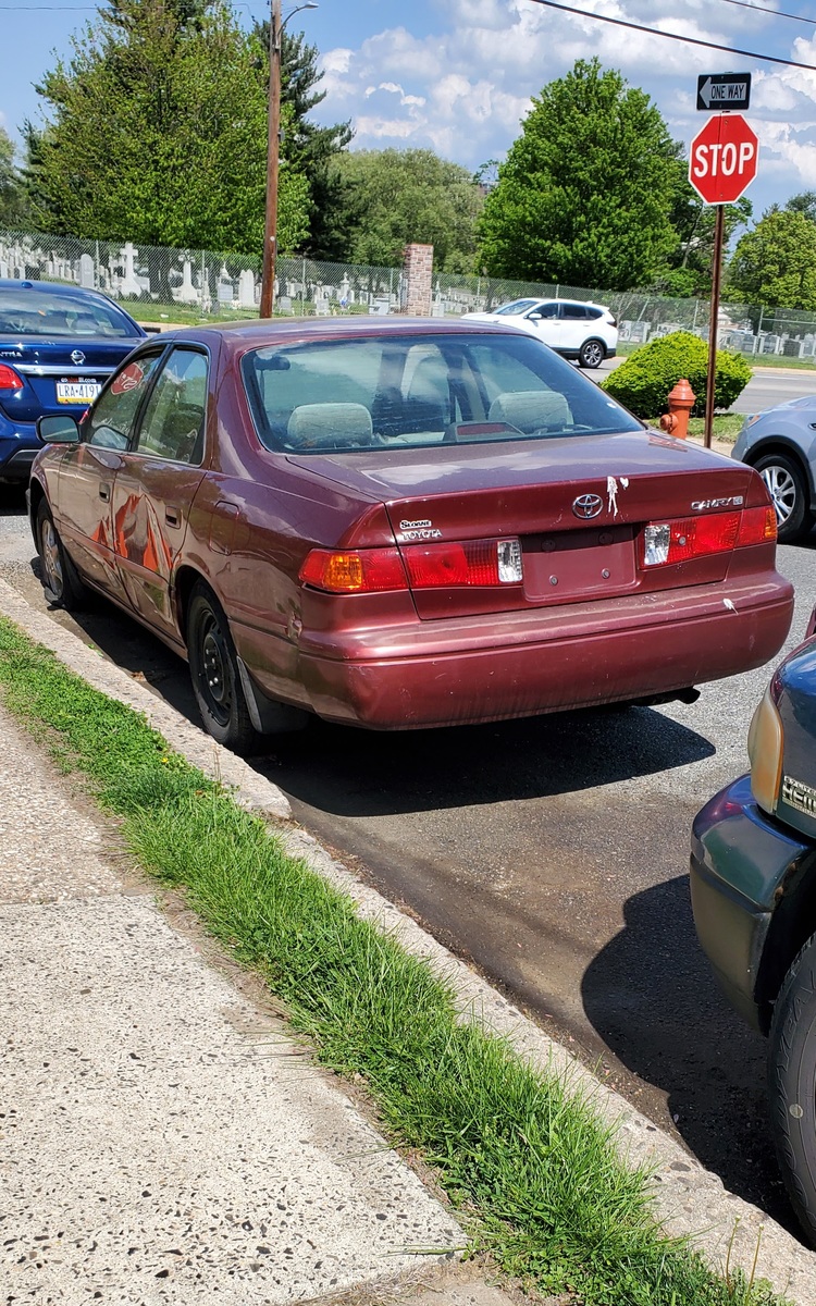 Photographic documentation of the work as submitted to the city's 311 record.