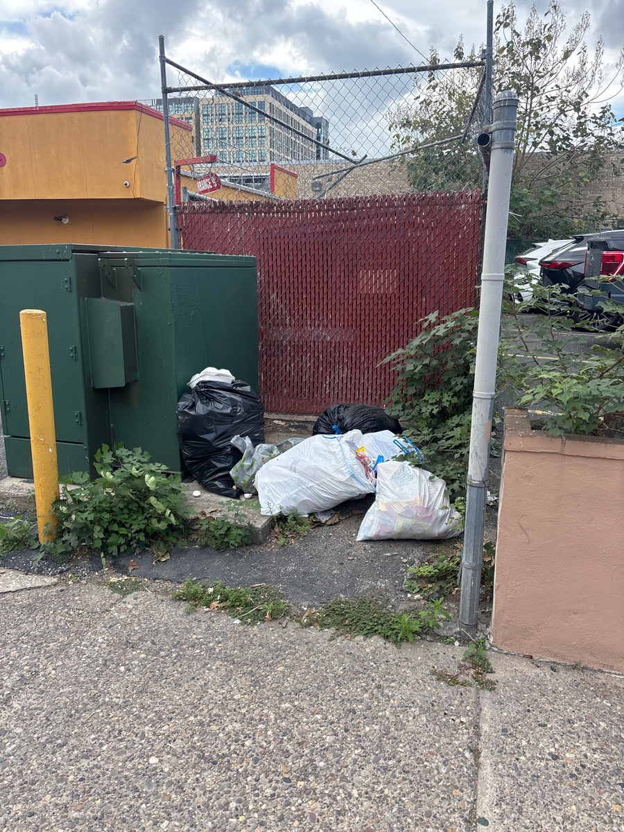 Photographic documentation of the work as submitted to the city's 311 record.