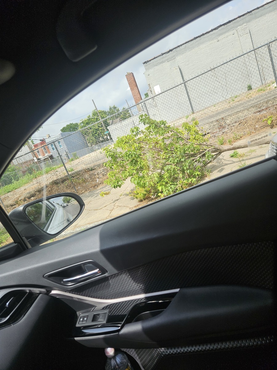 Photographic documentation of the work as submitted to the city's 311 record.