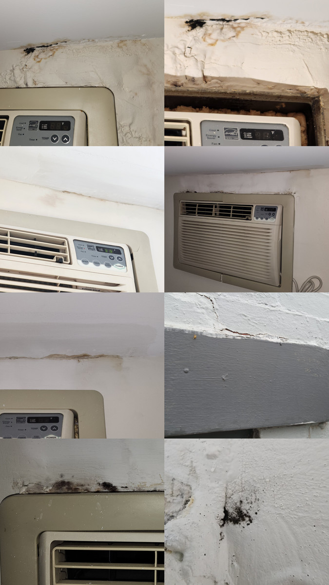 Photographic documentation of the work as submitted to the city's 311 record.