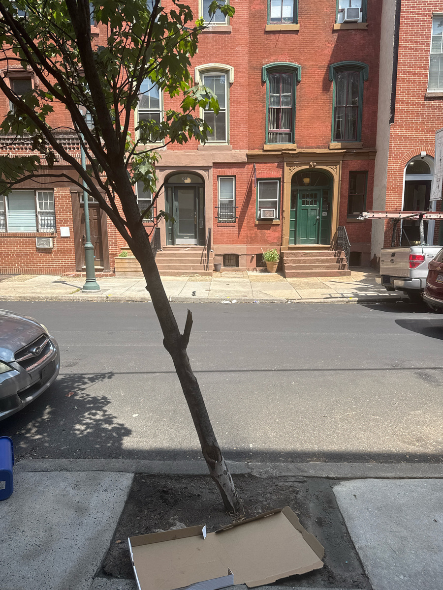 Photographic documentation of the work as submitted to the city's 311 record.