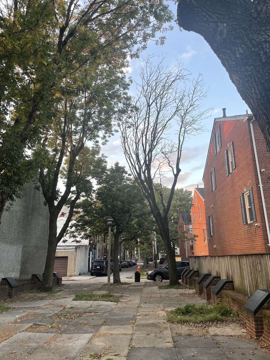 Photographic documentation of the work as submitted to the city's 311 record.