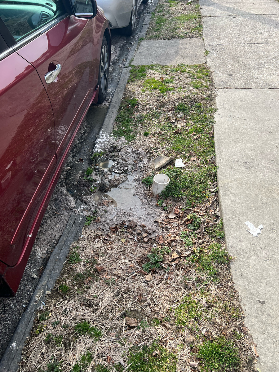 Photographic documentation of the work as submitted to the city's 311 record.