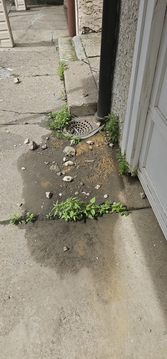 Documentation of Curbside Vigil, Drainage Trace — South Philadelphia, as submitted to Philadelphia 311.