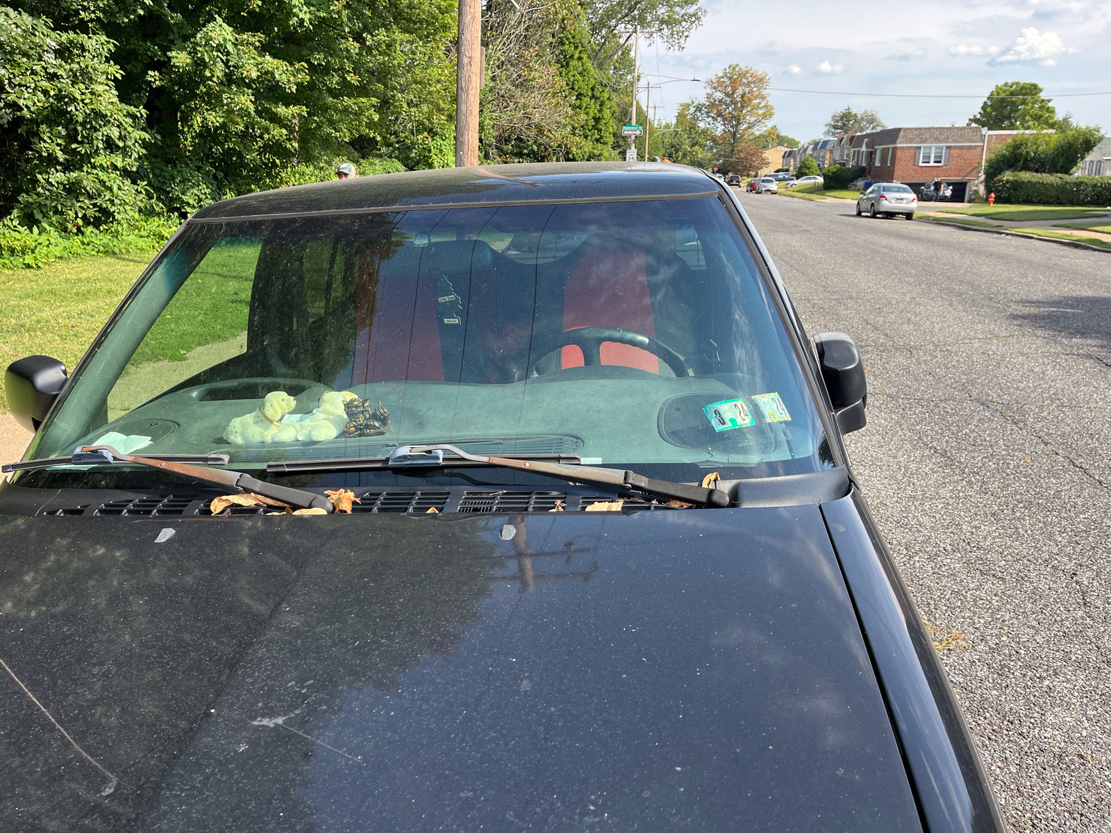 Photographic documentation of the work as submitted to the city's 311 record.