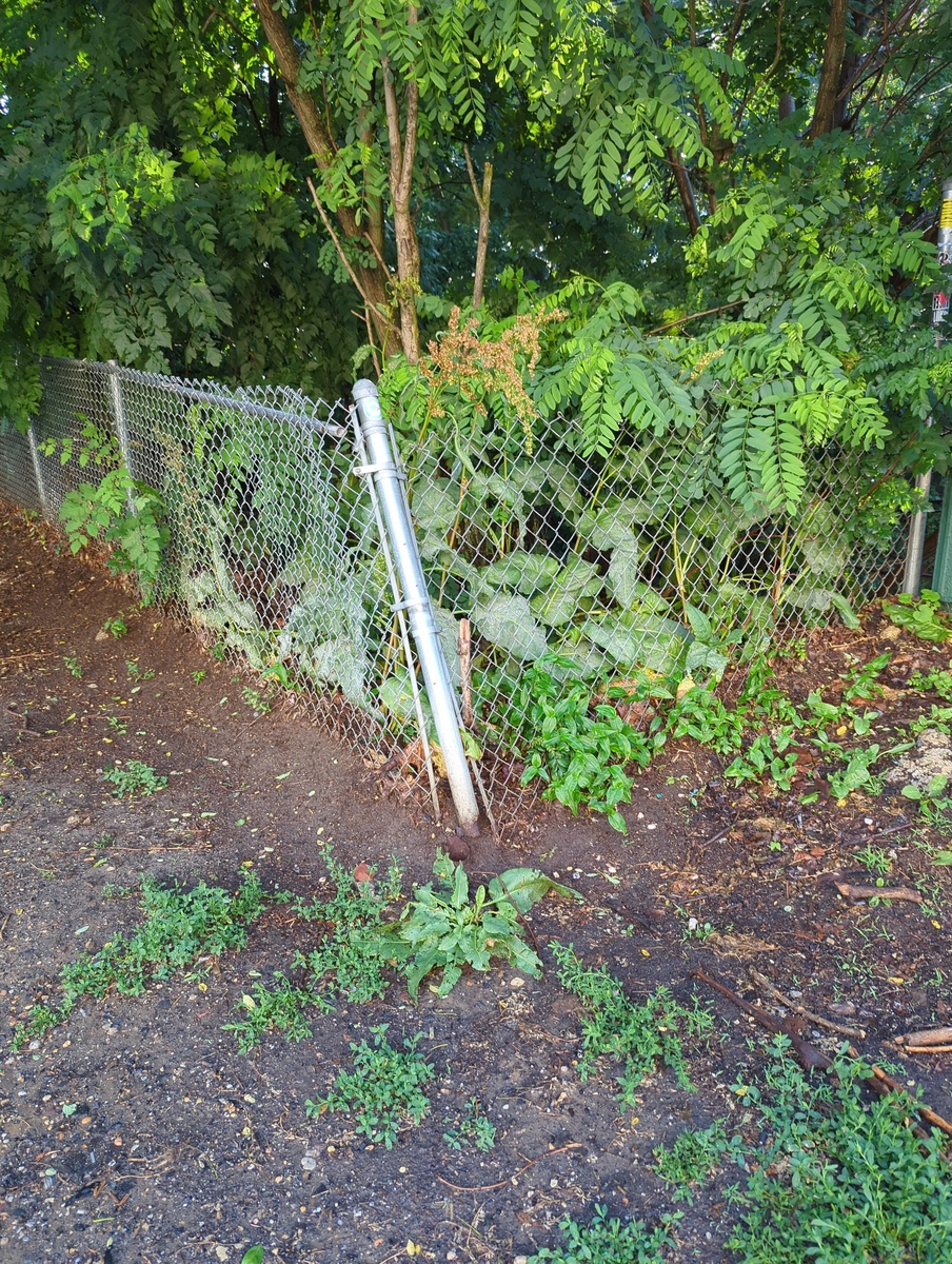 Photographic documentation of the work as submitted to the city's 311 record.