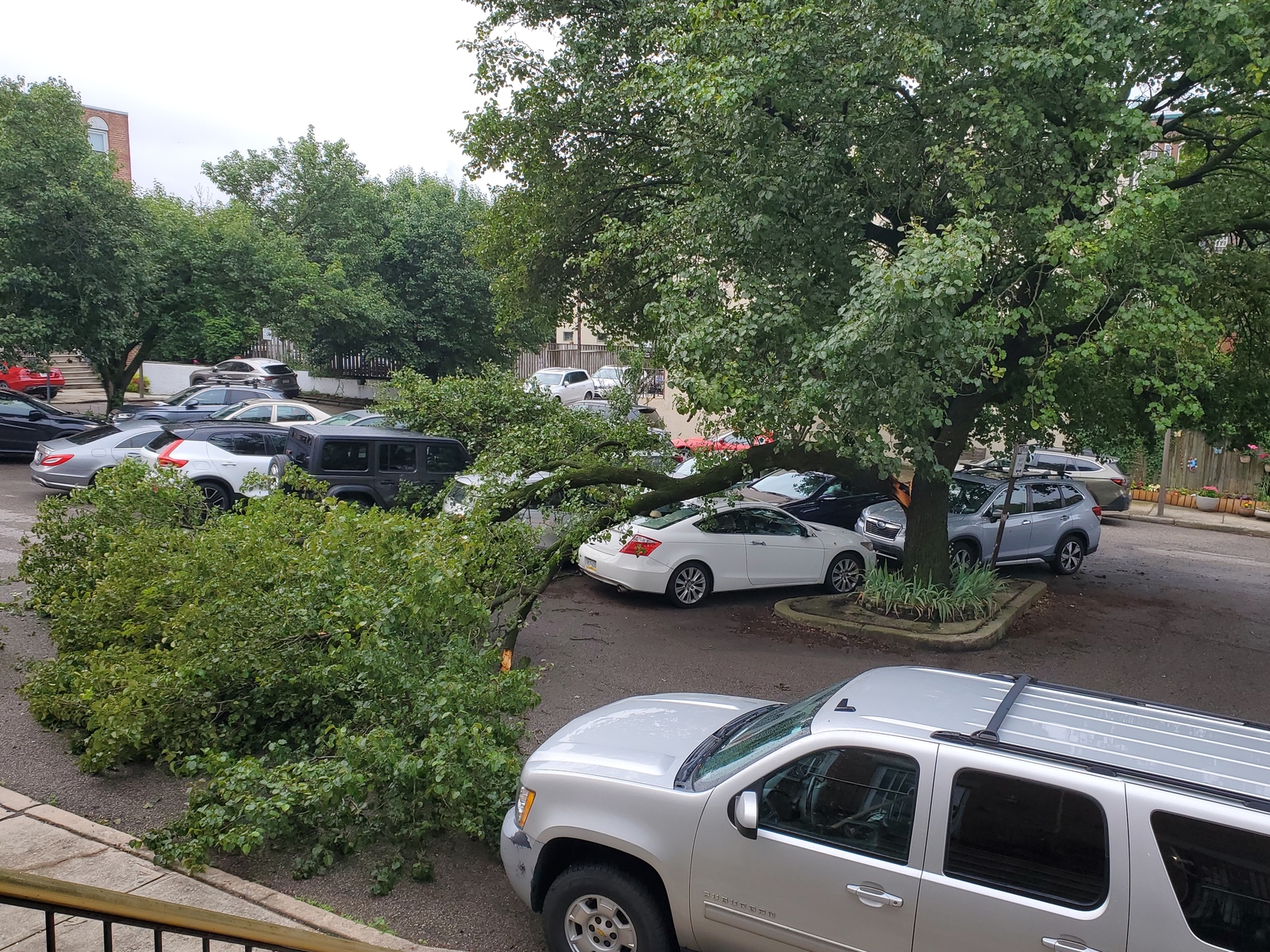 Photographic documentation of the work as submitted to the city's 311 record.