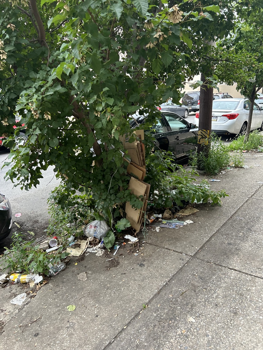 Photographic documentation of the work as submitted to the city's 311 record.
