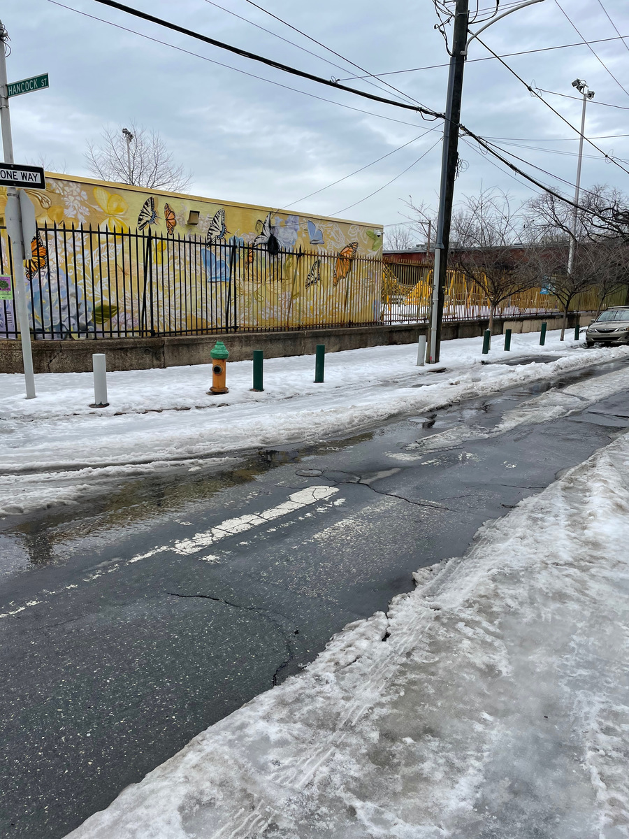 Photographic documentation of the work as submitted to the city's 311 record.