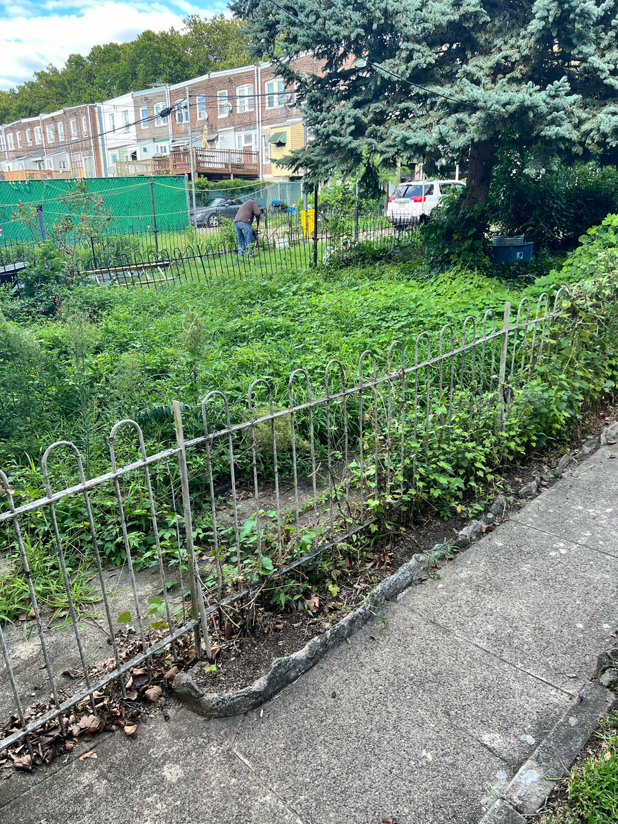 Photographic documentation of the work as submitted to the city's 311 record.