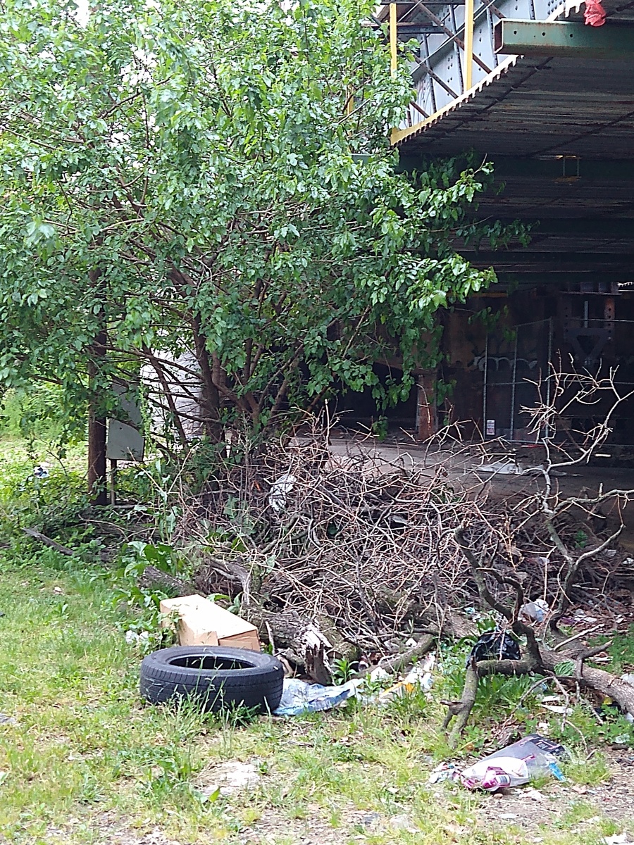 Photographic documentation of the work as submitted to the city's 311 record.