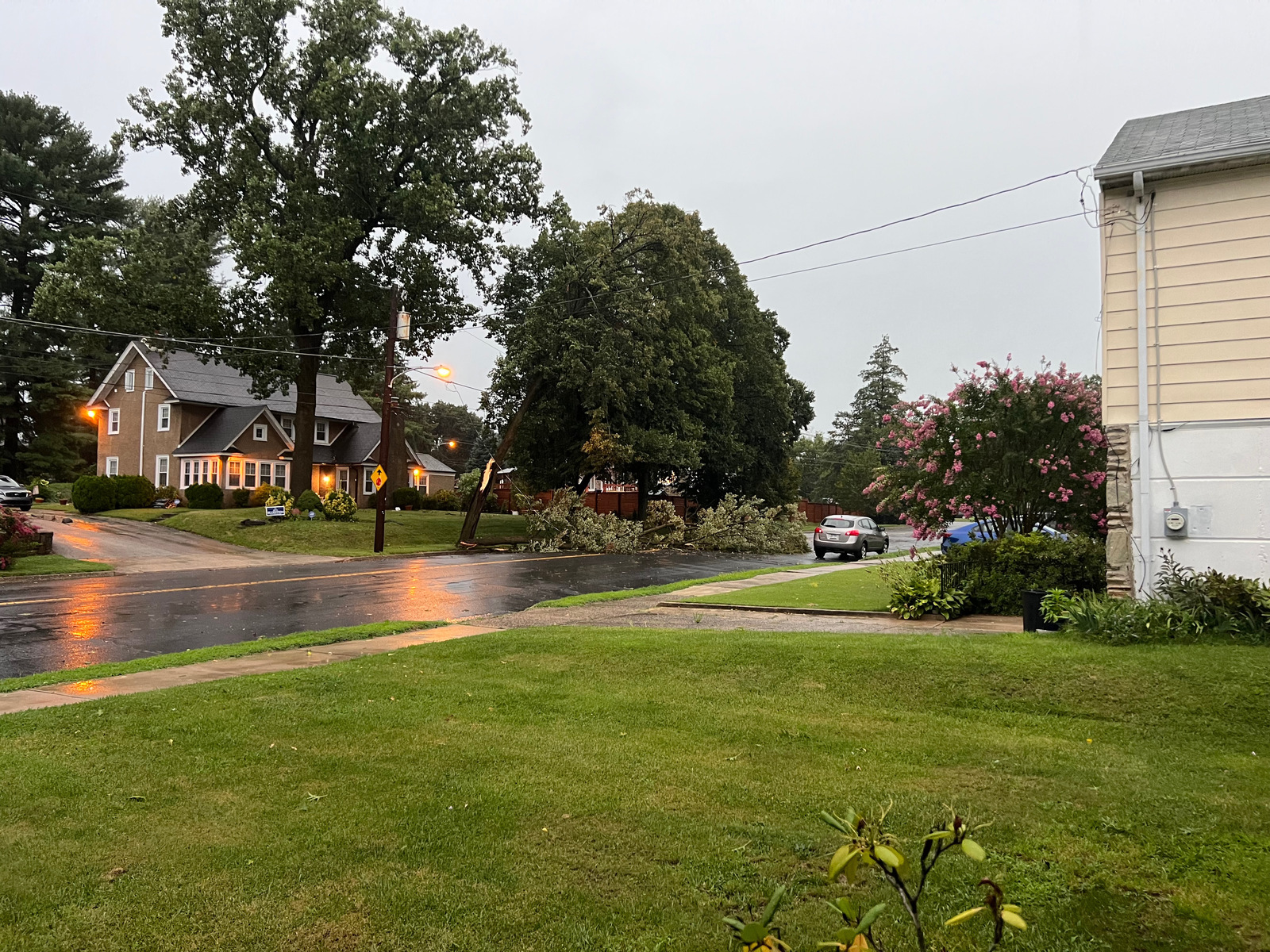 Photographic documentation of the work as submitted to the city's 311 record.