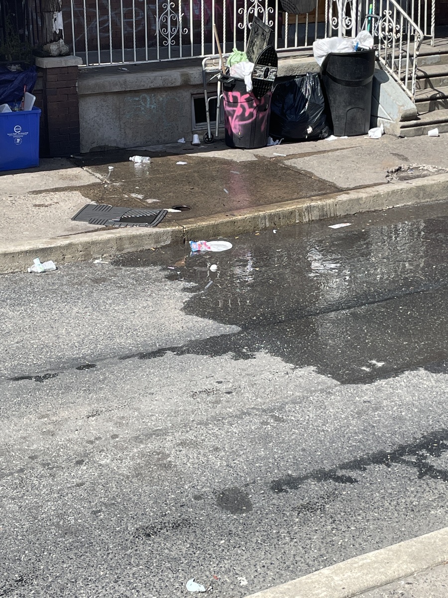 Photographic documentation of the work as submitted to the city's 311 record.