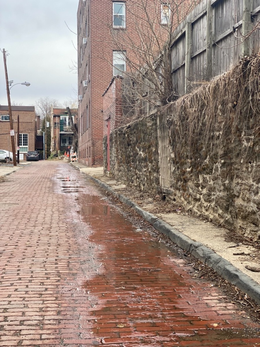 Photographic documentation of the work as submitted to the city's 311 record.