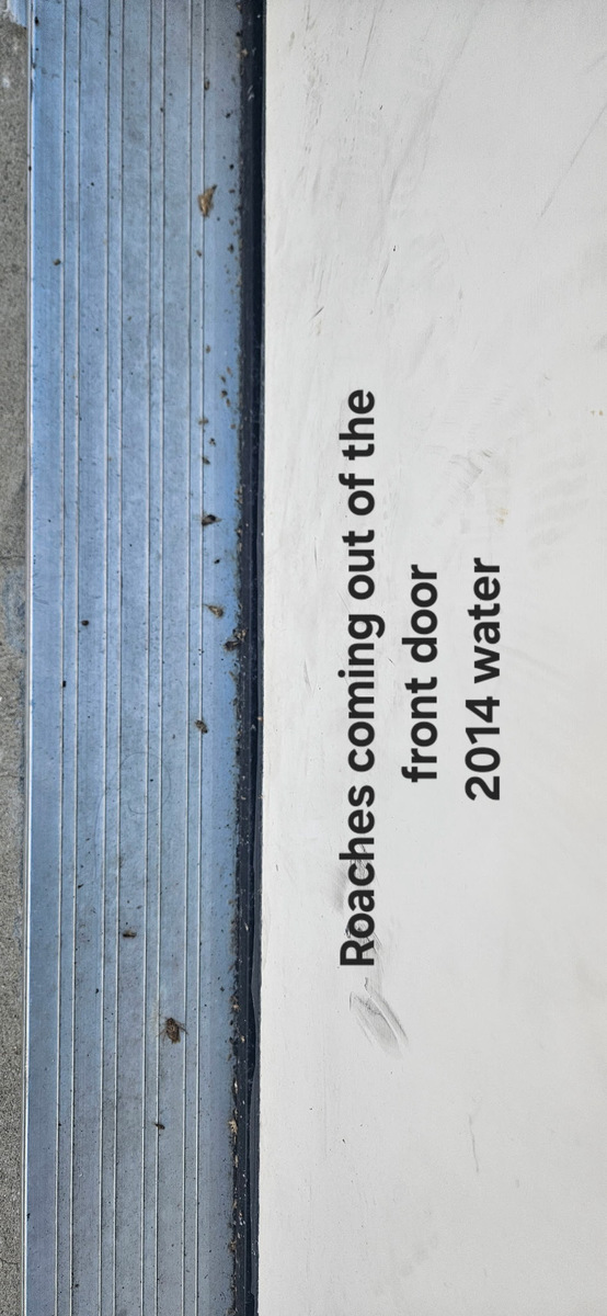 Photographic documentation of the work as submitted to the city's 311 record.