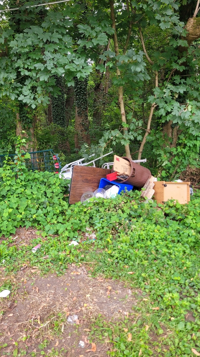 Photographic documentation of the work as submitted to the city's 311 record.