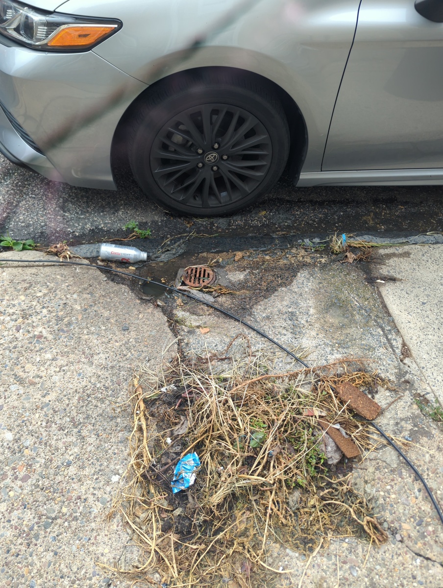 Photographic documentation of the work as submitted to the city's 311 record.
