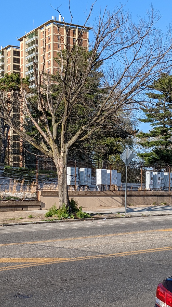 Photographic documentation of the work as submitted to the city's 311 record.