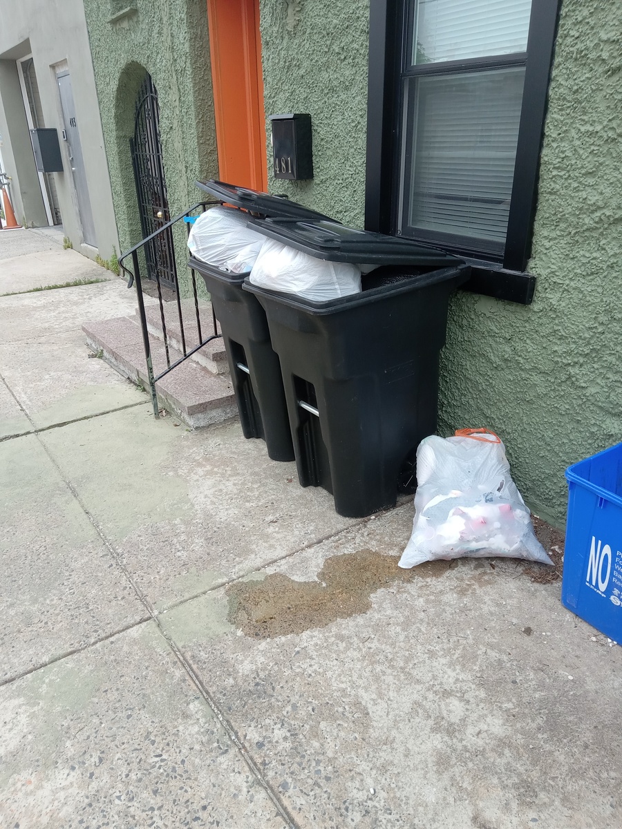 Photographic documentation of the work as submitted to the city's 311 record.