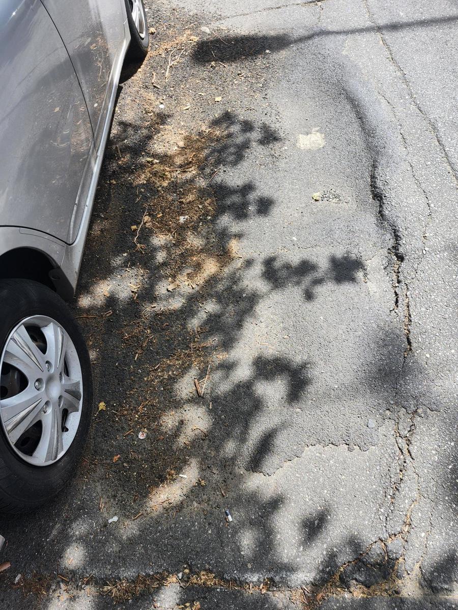 Photographic documentation of the work as submitted to the city's 311 record.