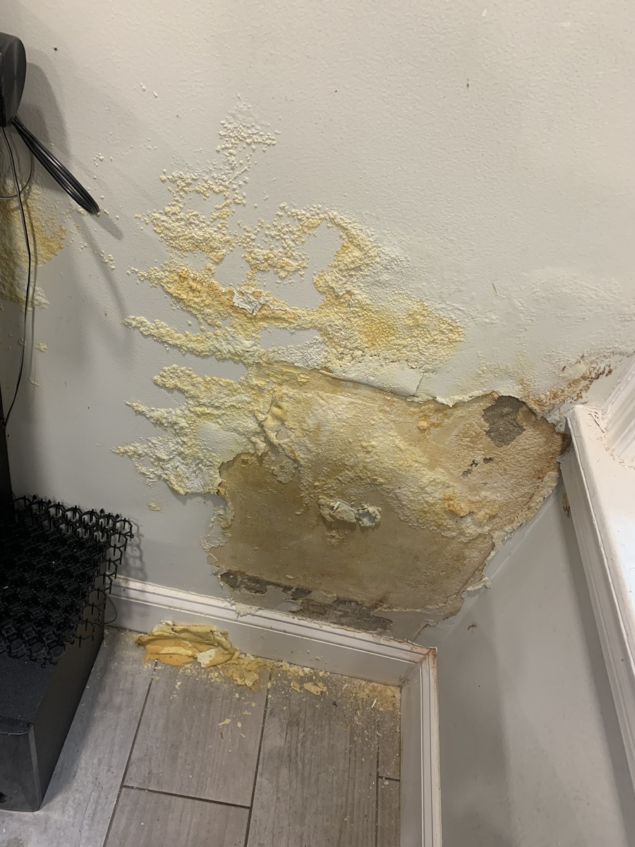 Photographic documentation of the work as submitted to the city's 311 record.