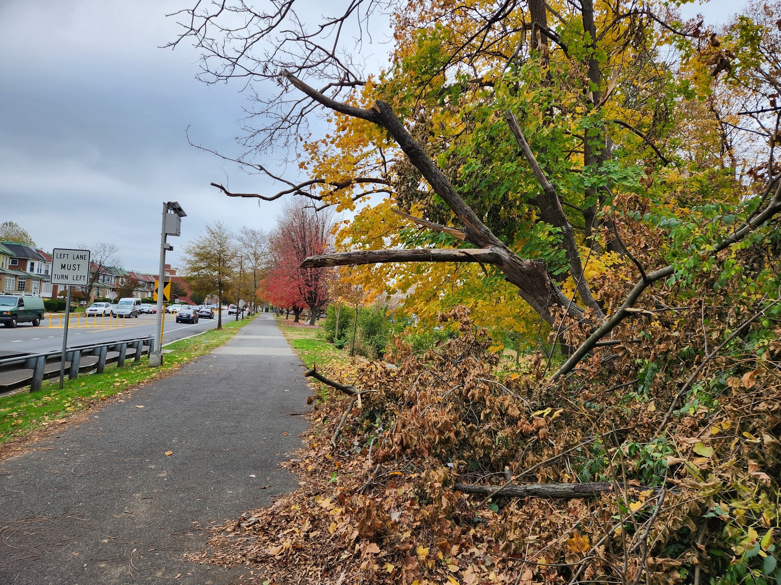 Photographic documentation of the work as submitted to the city's 311 record.