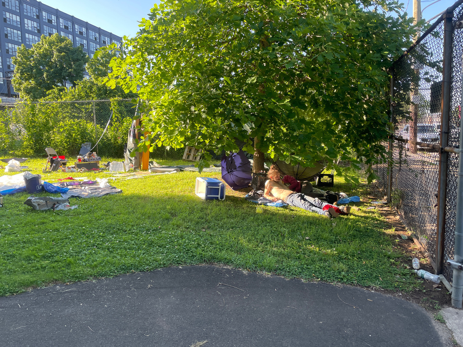 Photographic documentation of the work as submitted to the city's 311 record.