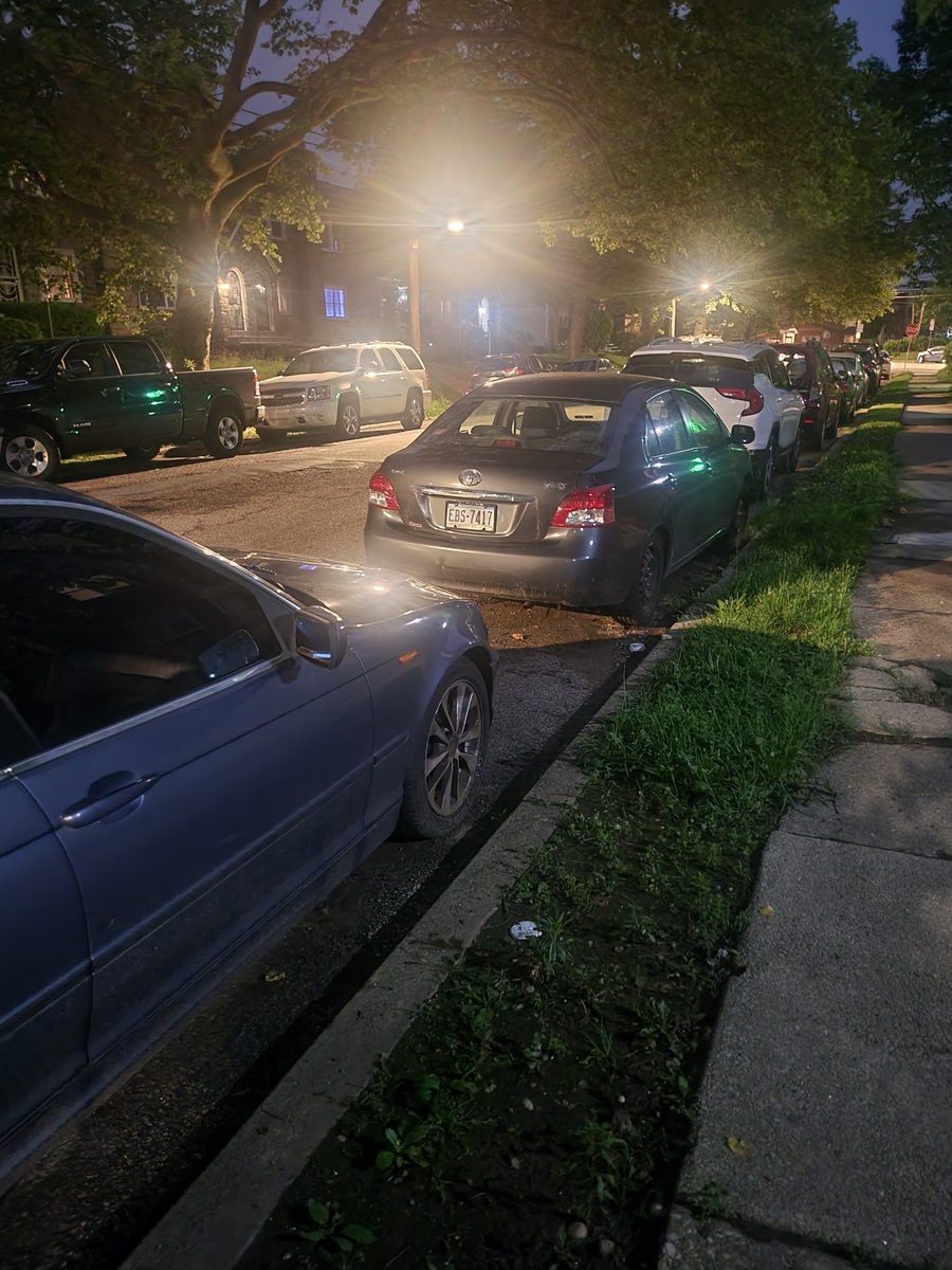 Photographic documentation of the work as submitted to the city's 311 record.
